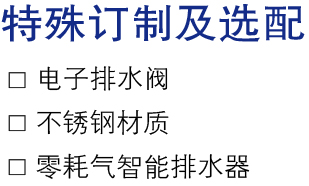 特殊訂制及選配.jpg